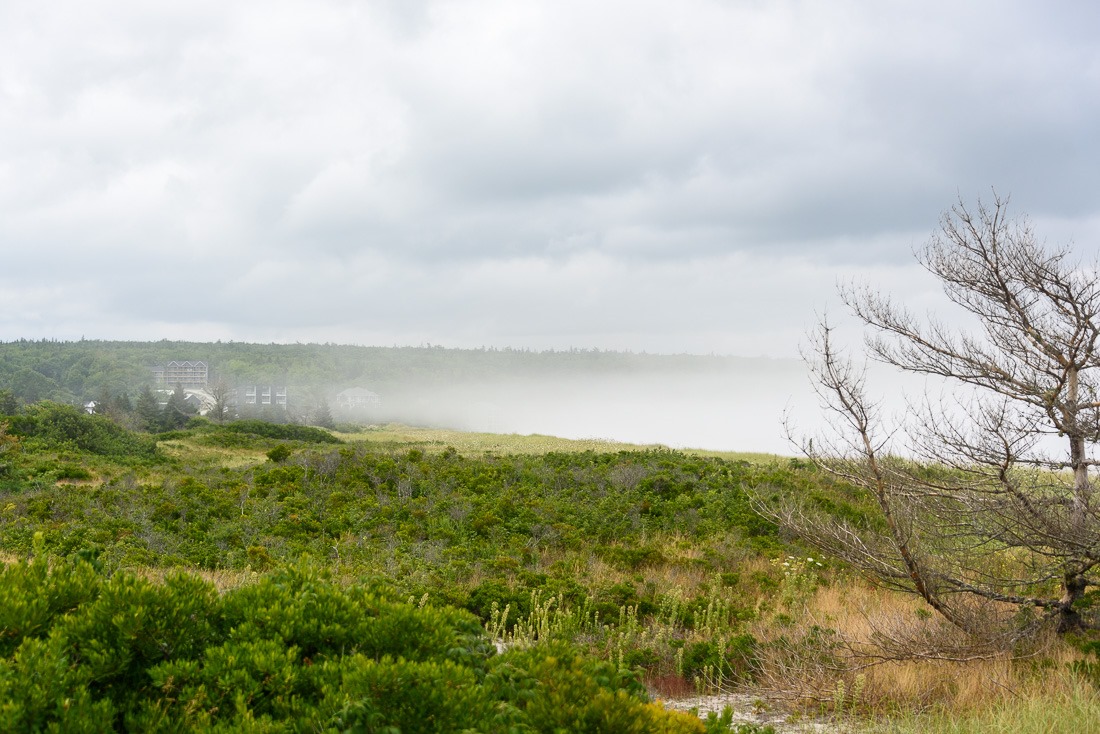 Midday fog