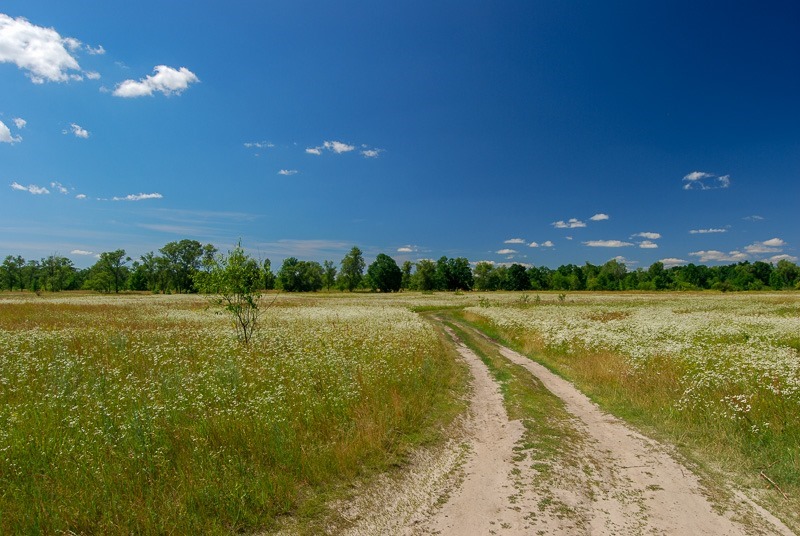 Obolon area in Kiev