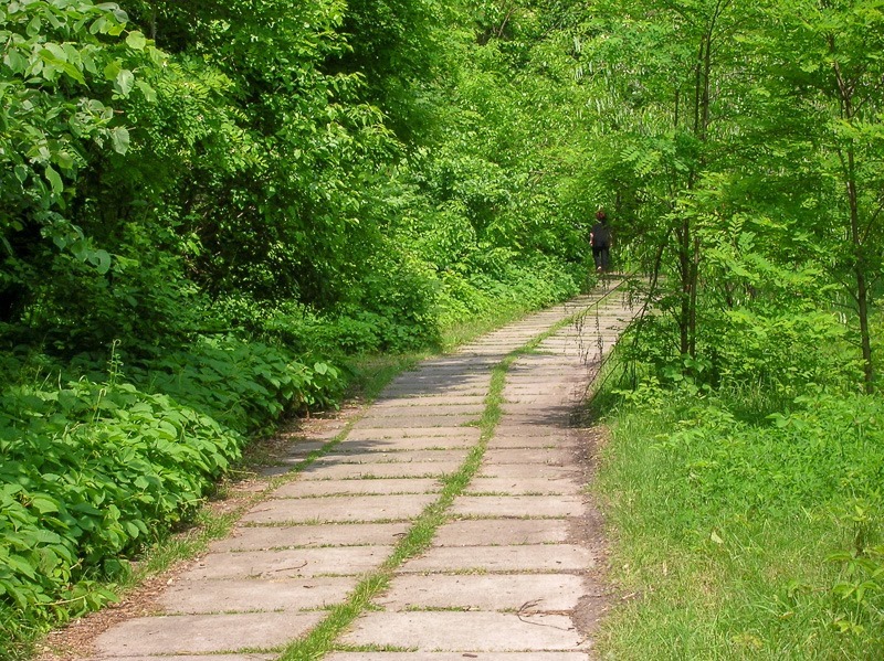 Mysterious paths in Hydropark