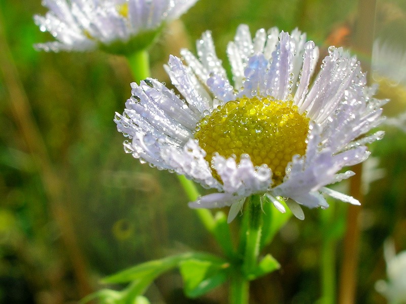 Nature at its best in Dubinka