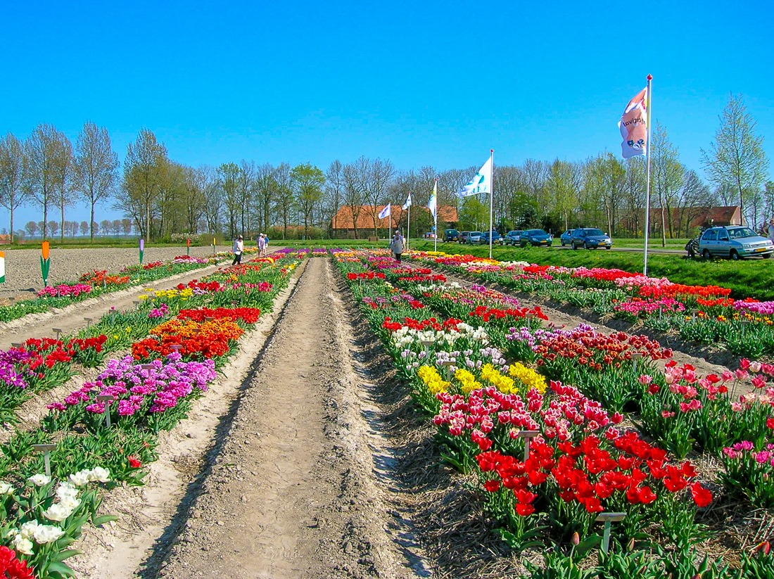 Noordoostpolder, Holland