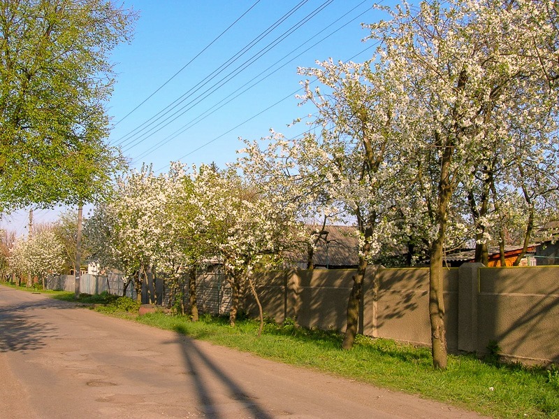 City street, Konotop, Ukraine