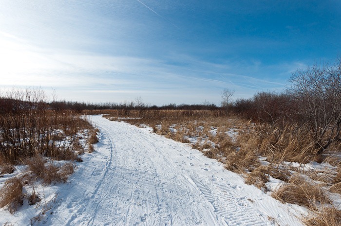 Wintery trail