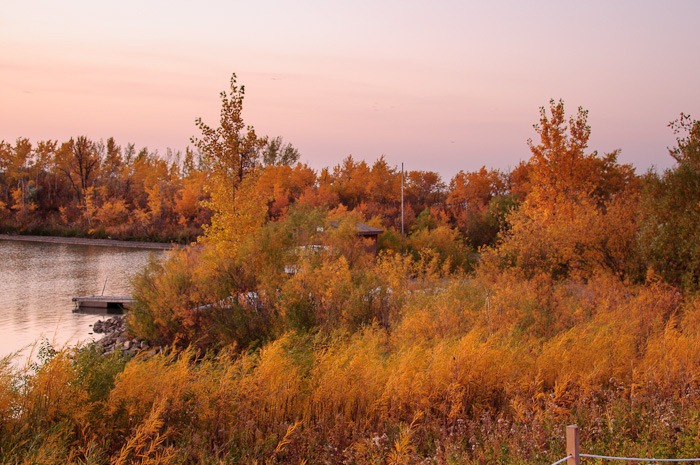 Fall colours to match a flaming sunset