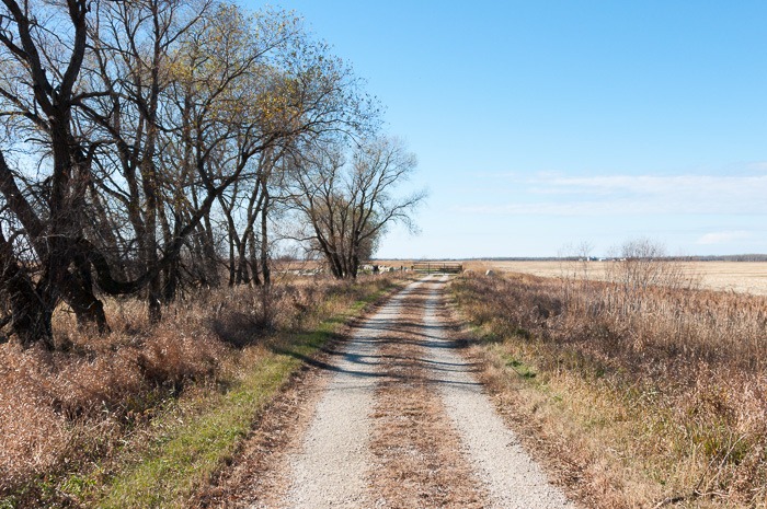 Oak Hammock Marsh, north end