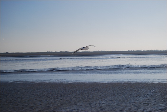 Flying to the island called Ameland