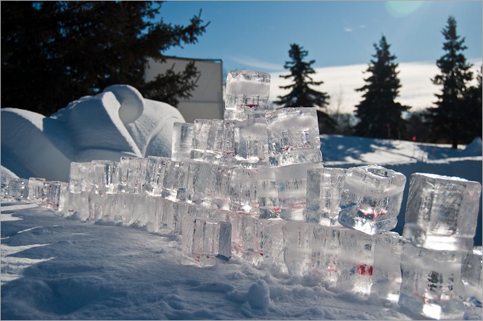 Ice glasses with a hint of caribou