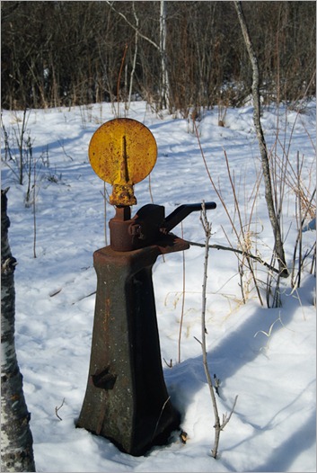 A switch. In the middle of a natural reserve