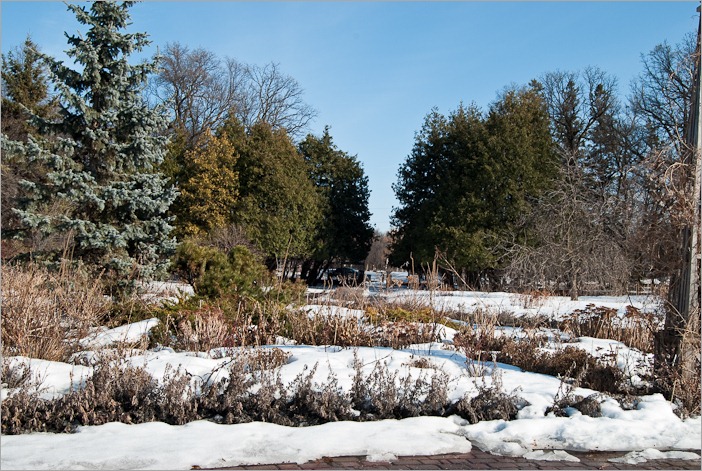 English garden in Winnipeg