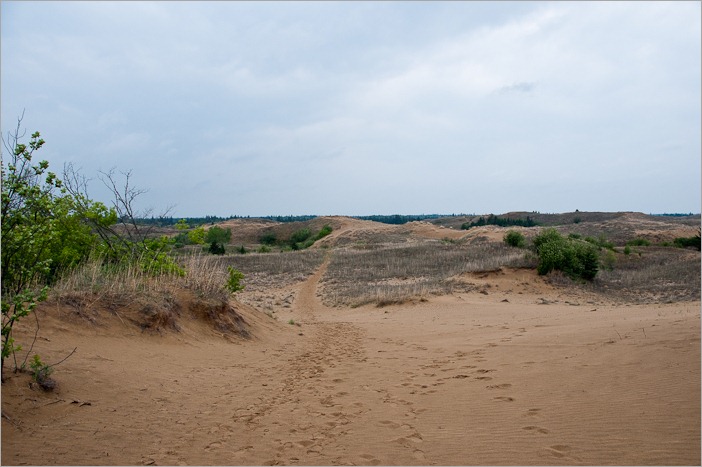 A beachy sight, but without water