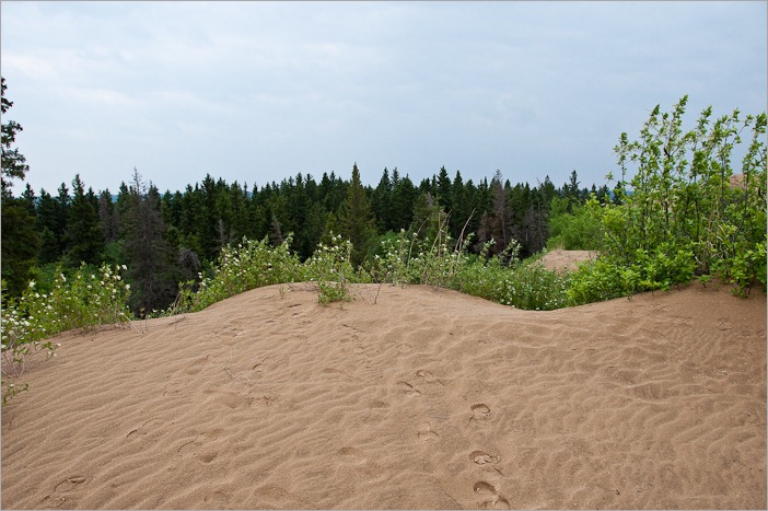 Near the edge of the “desert”