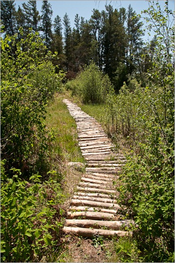 Natural paving