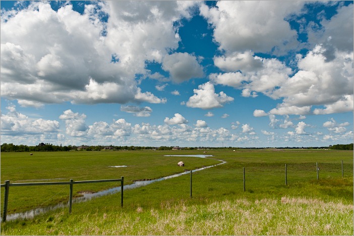 View from the bison mound in Fort Whyte