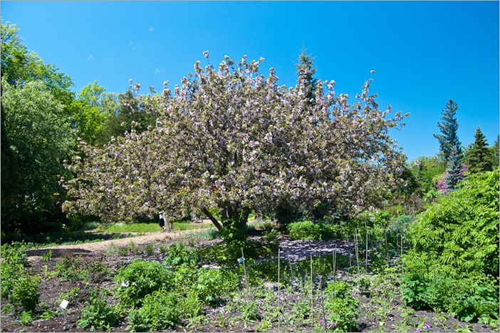 Spring, at last