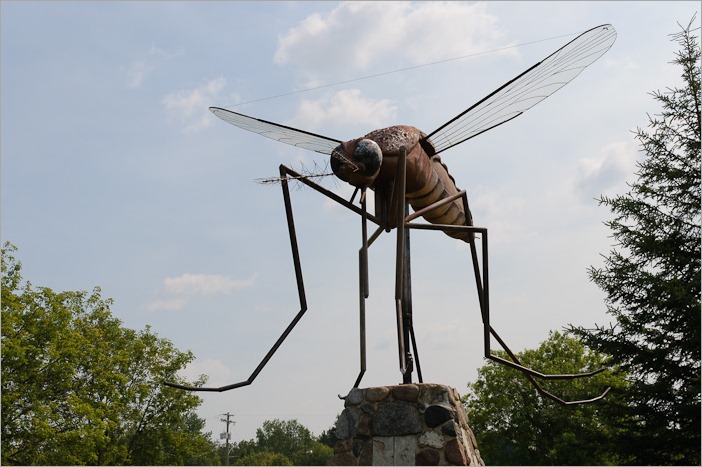 Giant mosquito in Komarno, MB