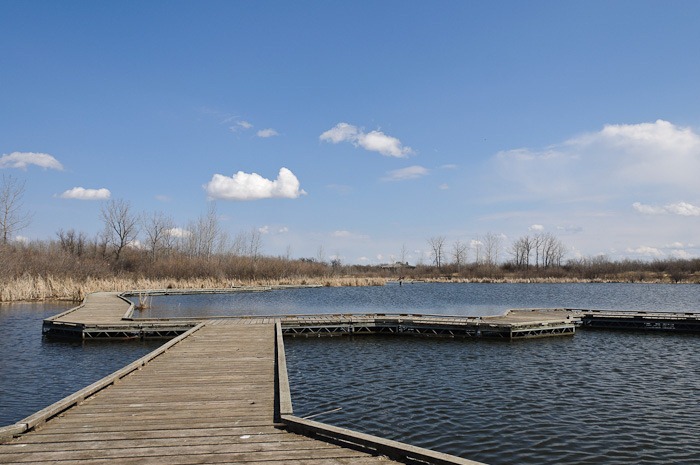 Boardwalk