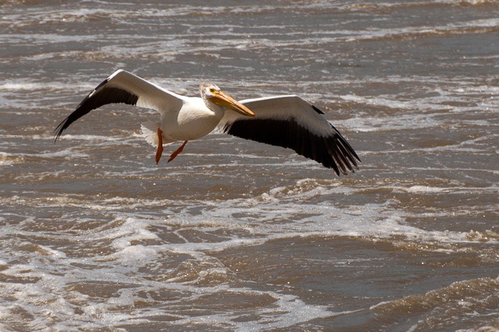 Preparing to land